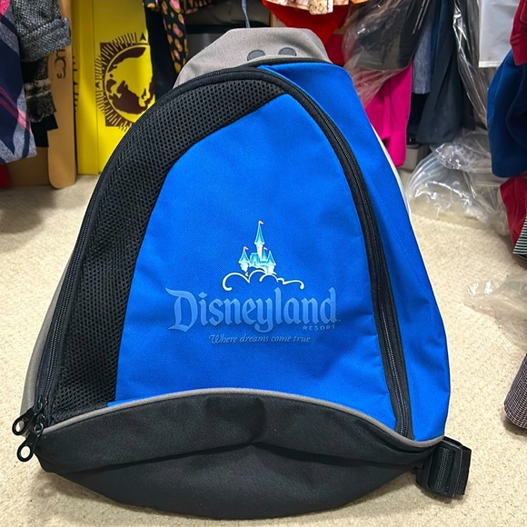Disney | Bags | Nwot Disneyland Messenger Bag | Poshmark
